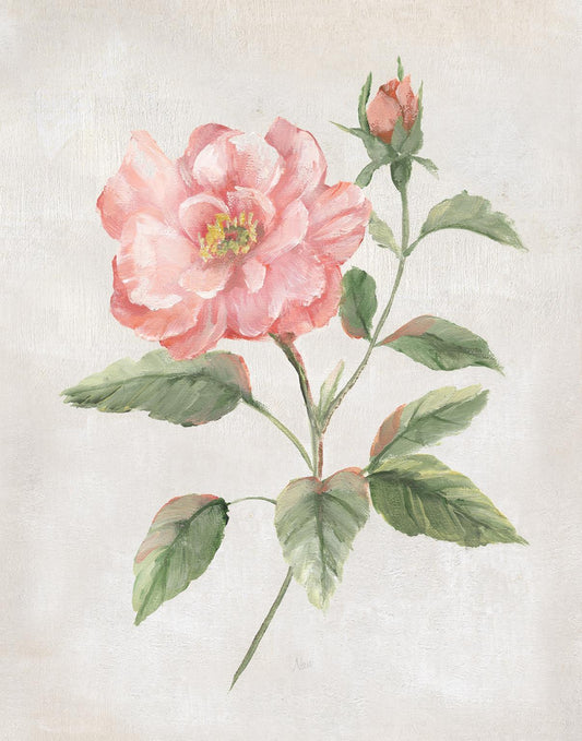 Grandiflora II By Nan - Pink Classy Art