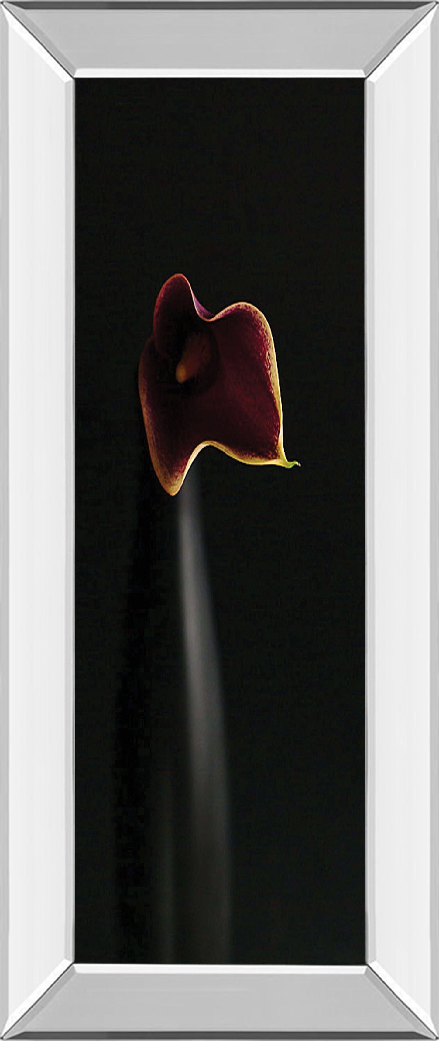 Calla In Ebony By Steven Mitchell - Mirror Framed Print Wall Art - Black Classy Art