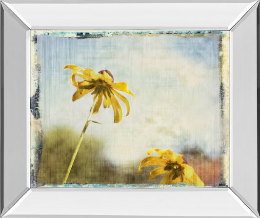 Blackeyed Susan Il By Meghan Mcsweeney - Mirror Framed Print Wall Art - Yellow Classy Art