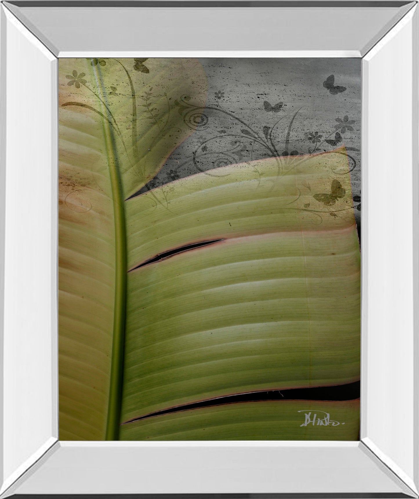 Butterfly Palm Il By Patricia Pinto - Mirror Framed Print Wall Art - Green Classy Art