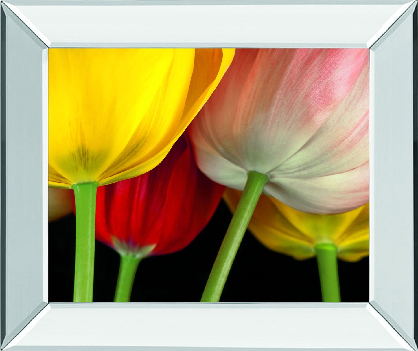 Sunshine Tulips By Frank, A. - Mirror Framed Print Wall Art - Yellow Classy Art