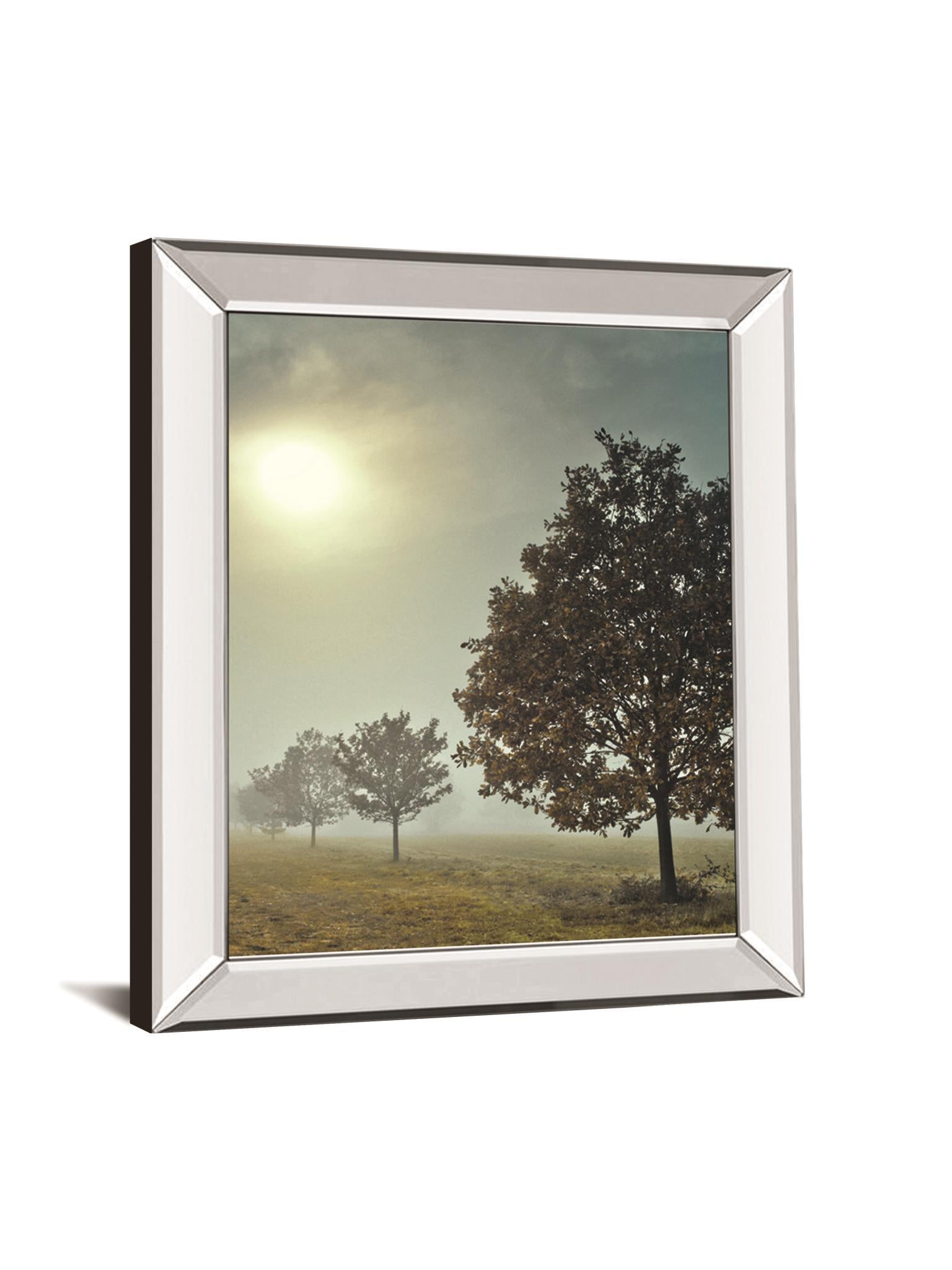 It's A New Day By Frank, A - Mirror Framed Print Wall Art - Green Classy Art