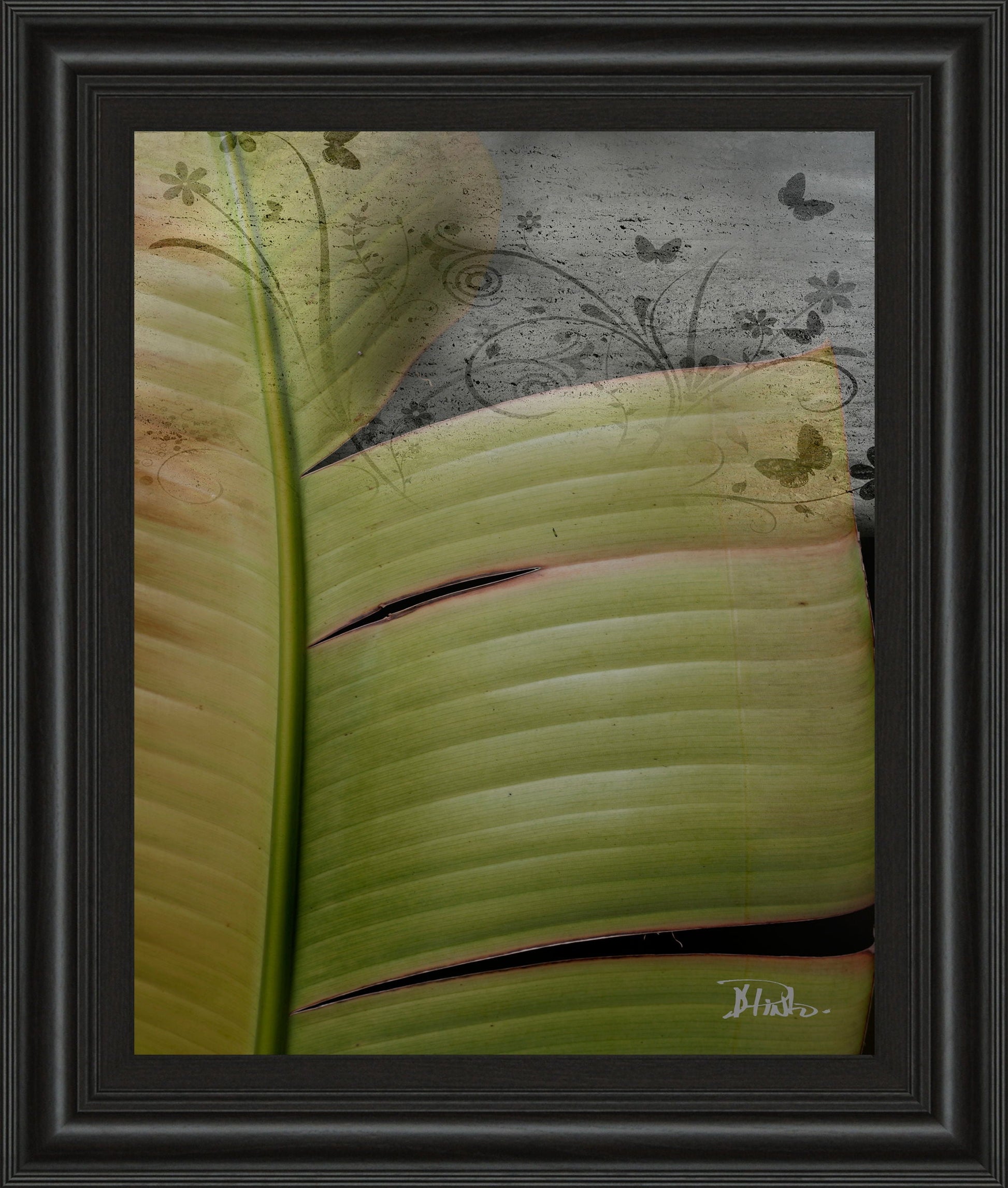 Butterfly Palm Il By Patricia Pinto - Framed Print Wall Art - Green Classy Art