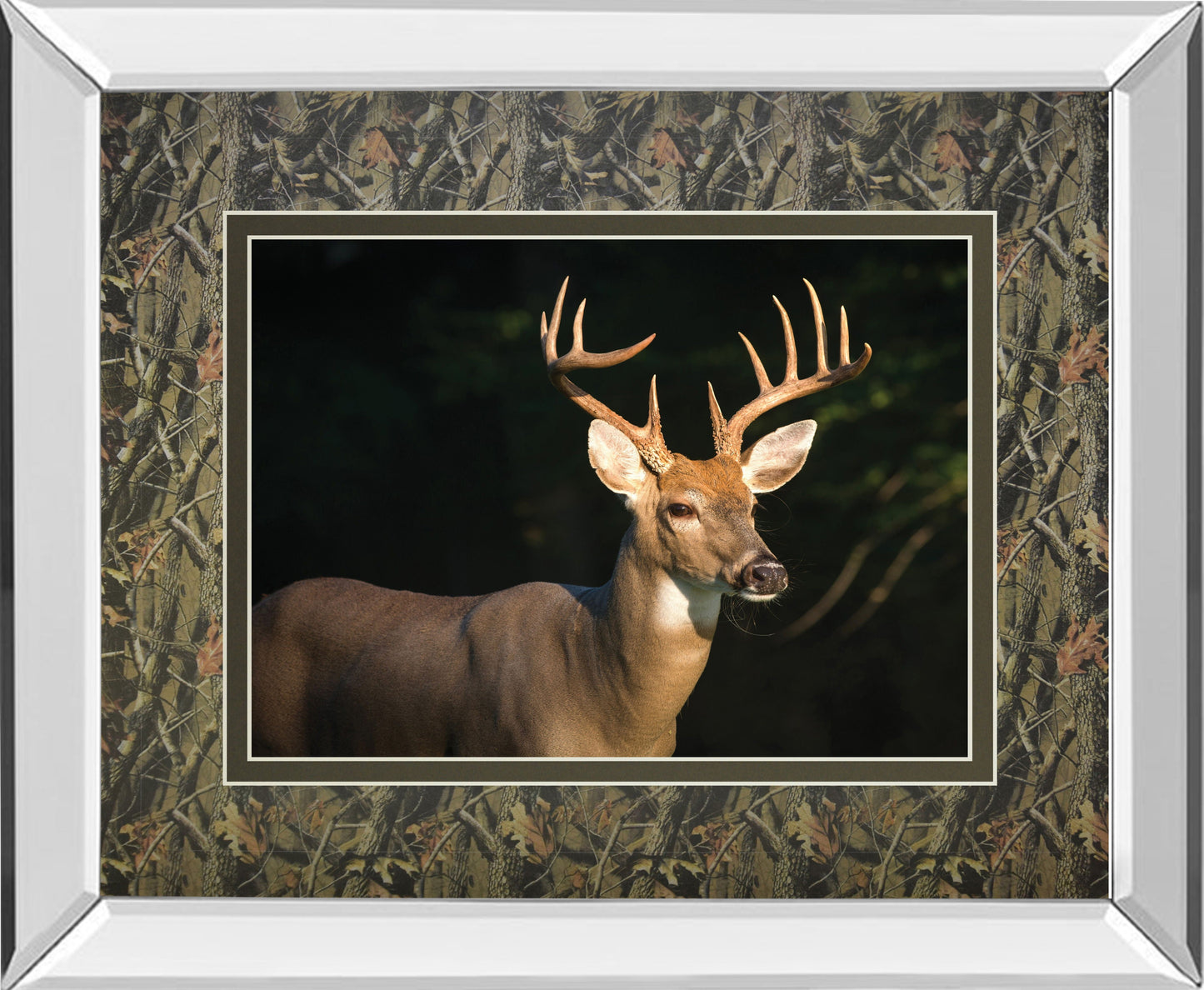 White Tail Buck By Tony Campbell Double Matted - Mirror Framed Print Wall Art - Black Classy Art