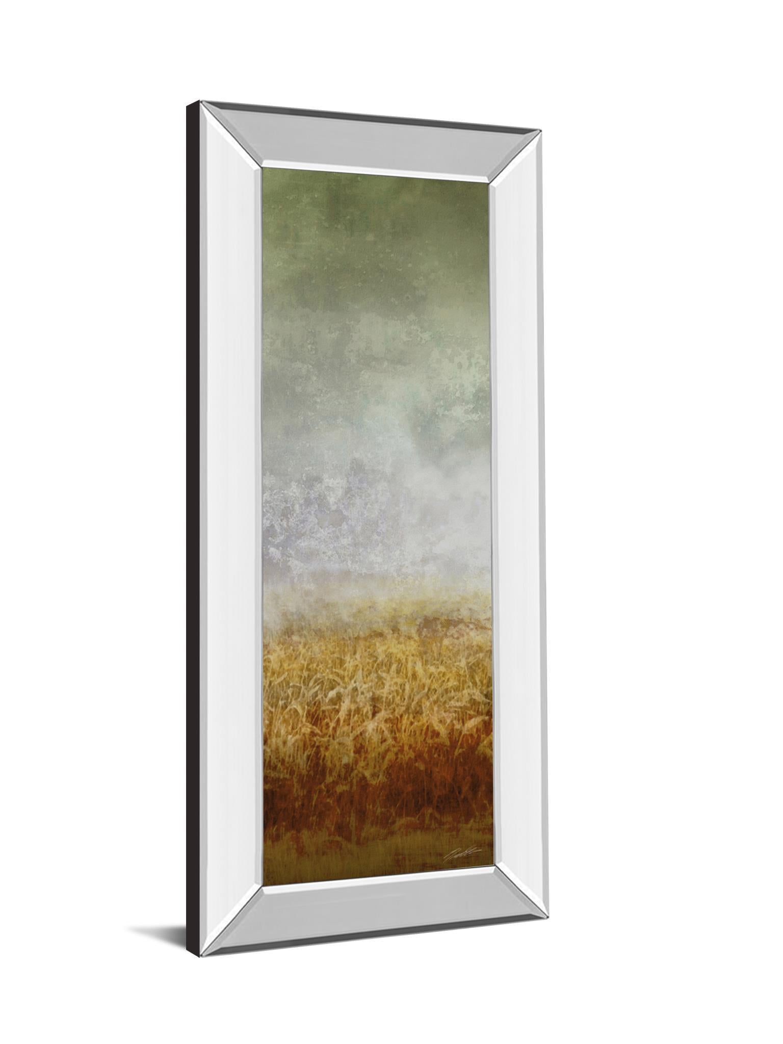 Lush Field I By John Butler - Mirror Framed Print Wall Art - Dark Gray Classy Art