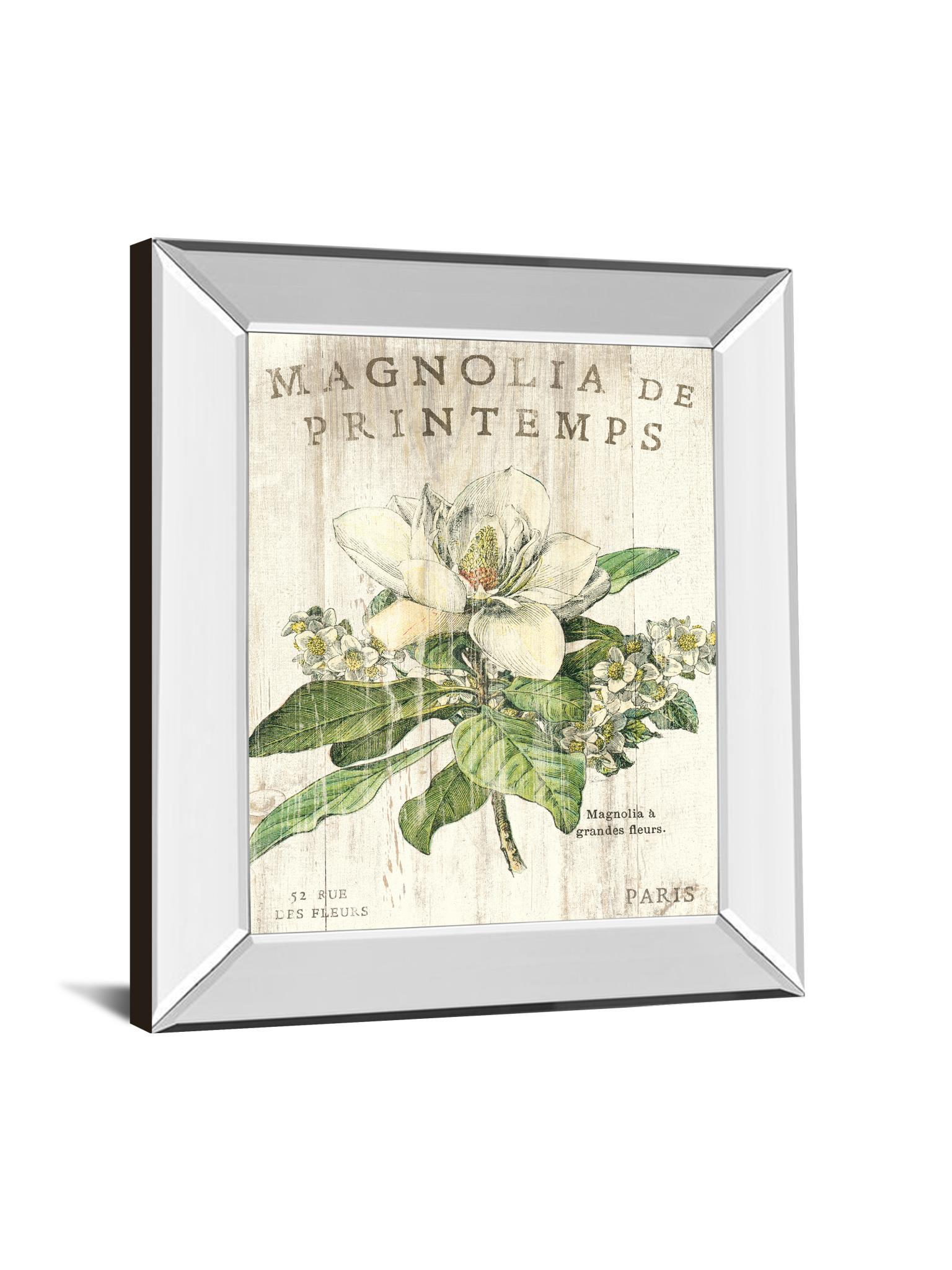 Magnolia De Printemps By Sue Schlabach - Mirror Framed Print Wall Art - White Classy Art