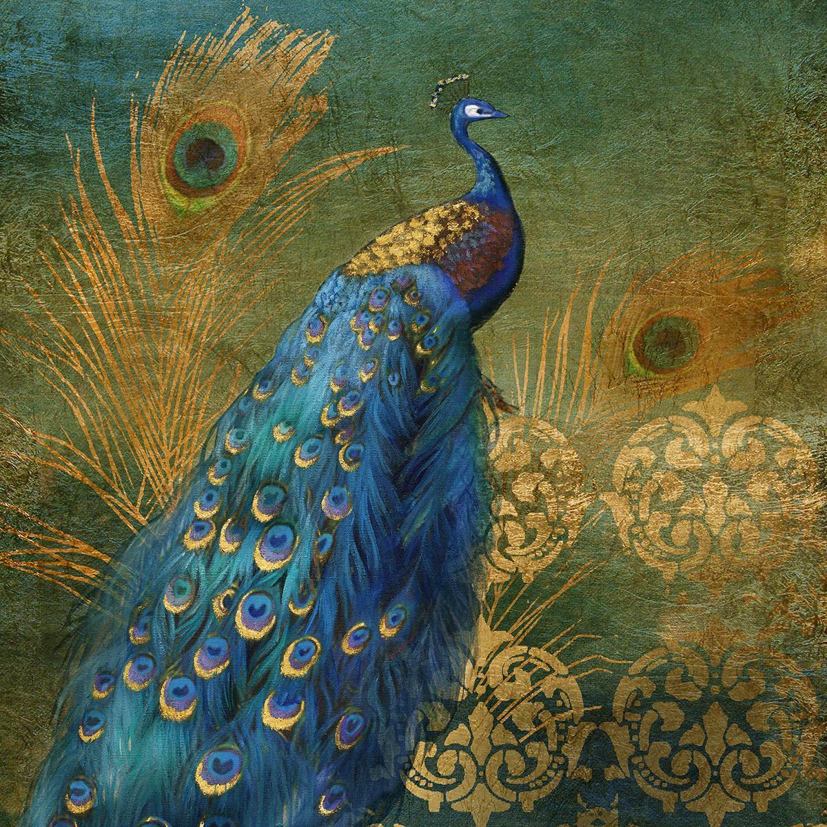 Peacock Bliss By Nan (Framed) - Blue Classy Art