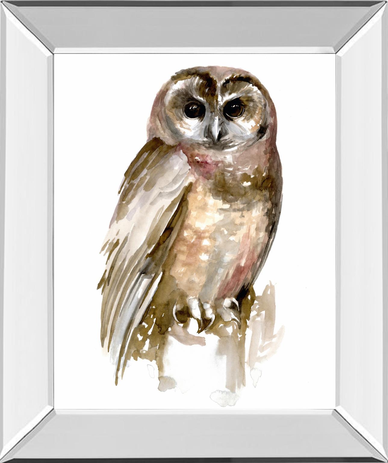 Watercolor Owl II By Jennifer Paxton Parker - Dark Gray Classy Art