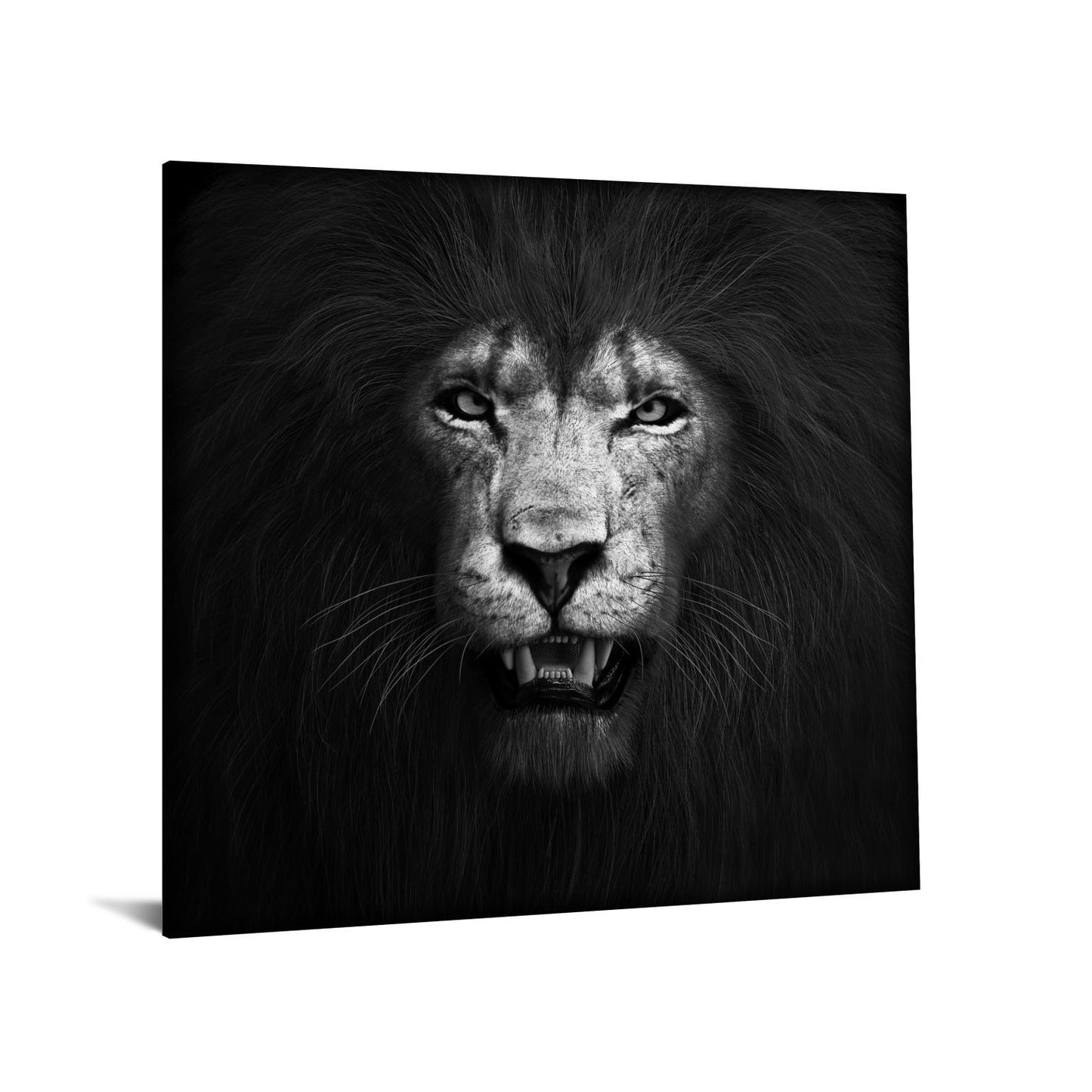 Tempered Glass With Foil - Lion B & W - Black Classy Art