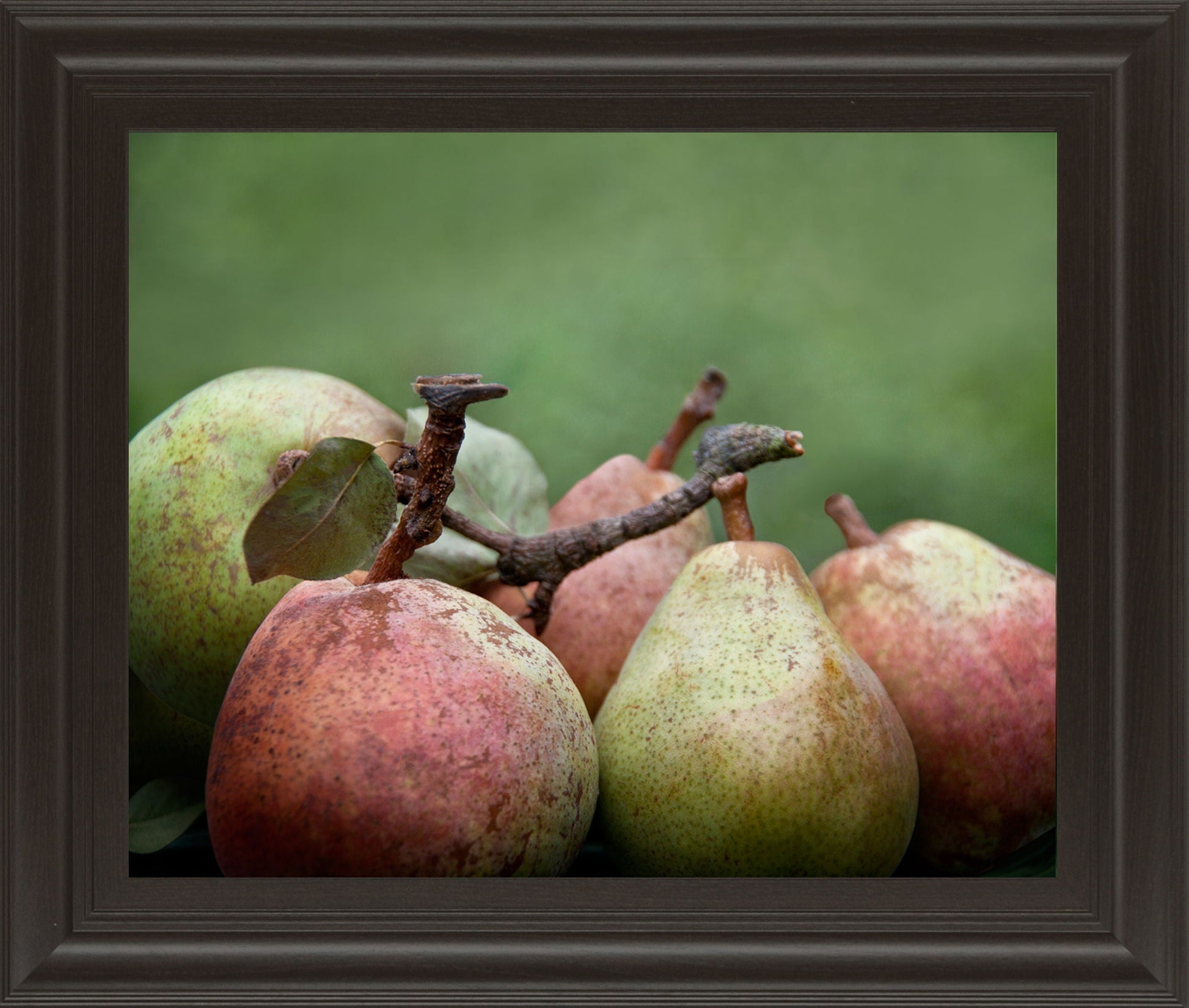 Comice Pear Il By Rachel Perry - Framed Print Wall Art - Green Classy Art