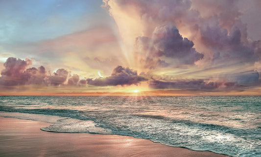 Copper Beach By Mike Calascibetta - Pink Classy Art