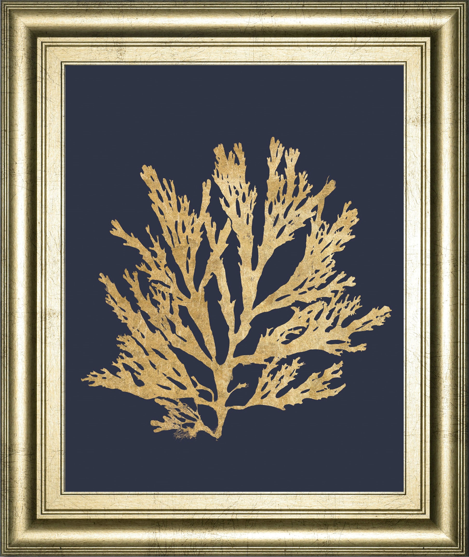 Pacific Sea Mosses I Indigo By Wild Apple Portfolio - Framed Print Wall Art - Gold Classy Art