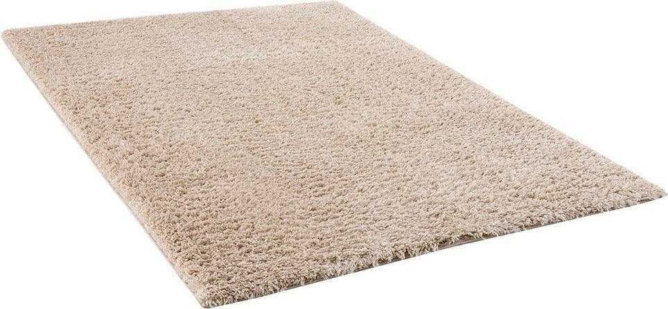 Camdyn 6x9 Shag Area Rug Cream Olliix.com