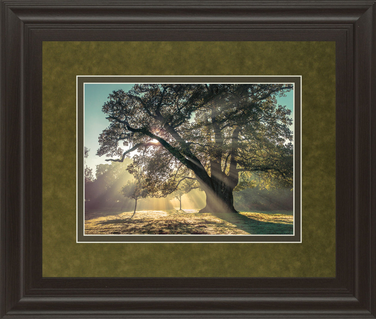 Breaking Through By A. Frank - Framed Print Wall Art - Green Classy Art