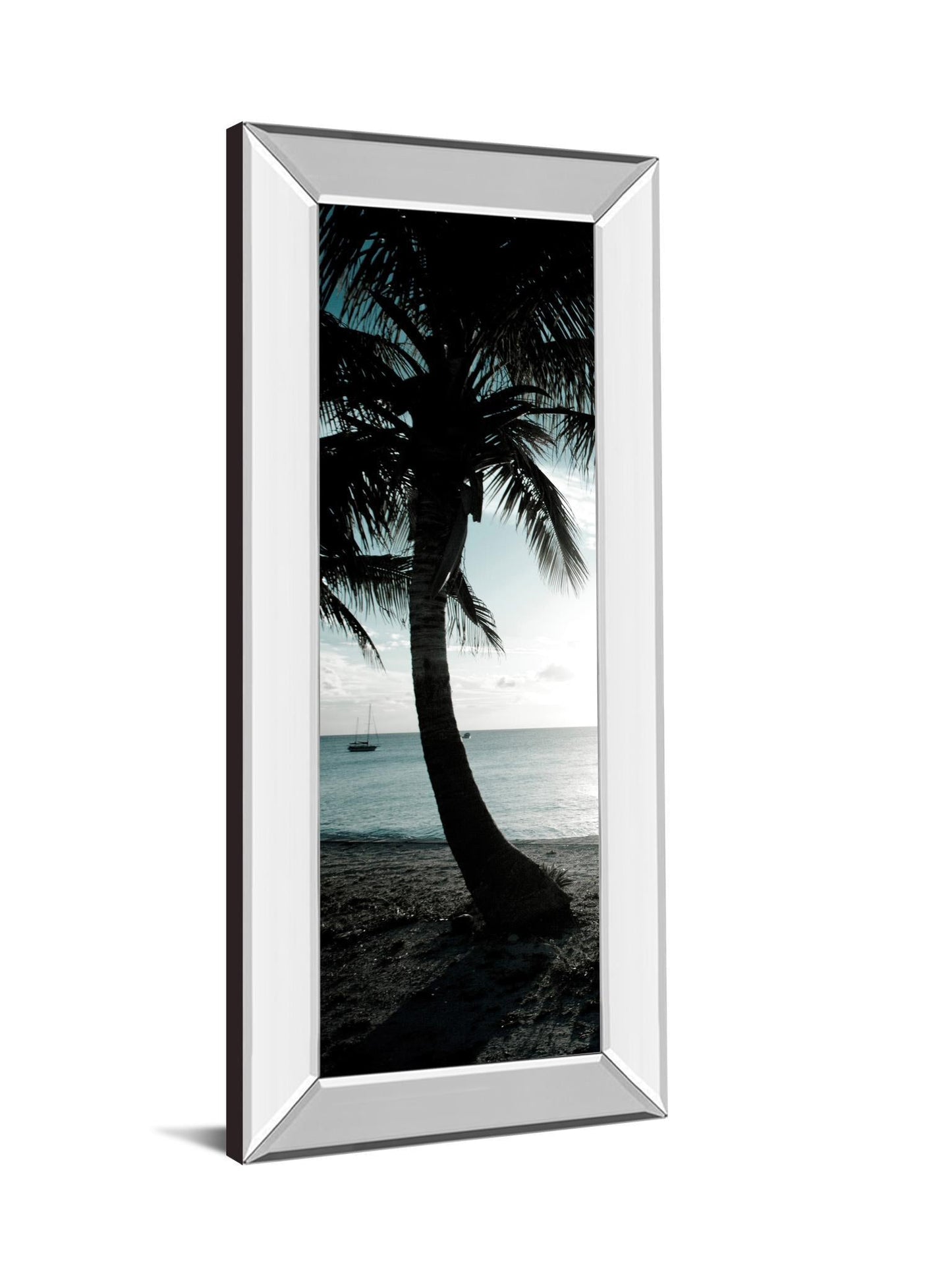 Cool Bimini Palms Il By Susan Bryant - Mirror Framed Print Wall Art - Black Classy Art