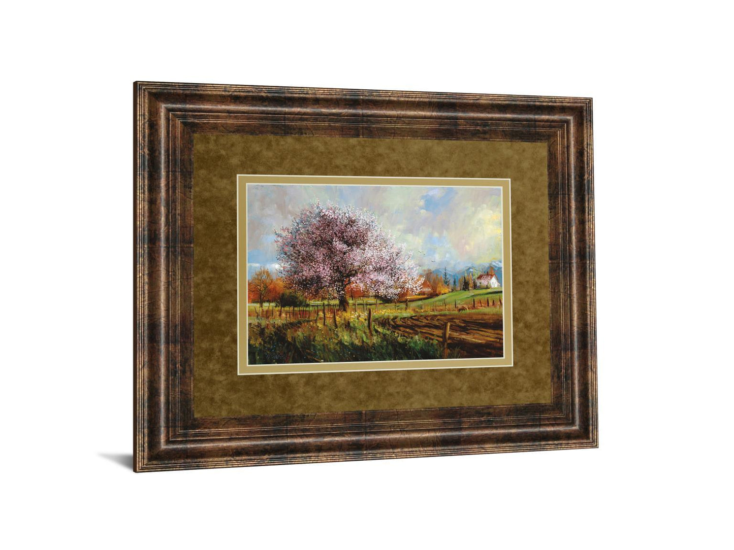 Spring Blossoms By Larry Winborg - Framed Print Wall Art - Green Classy Art