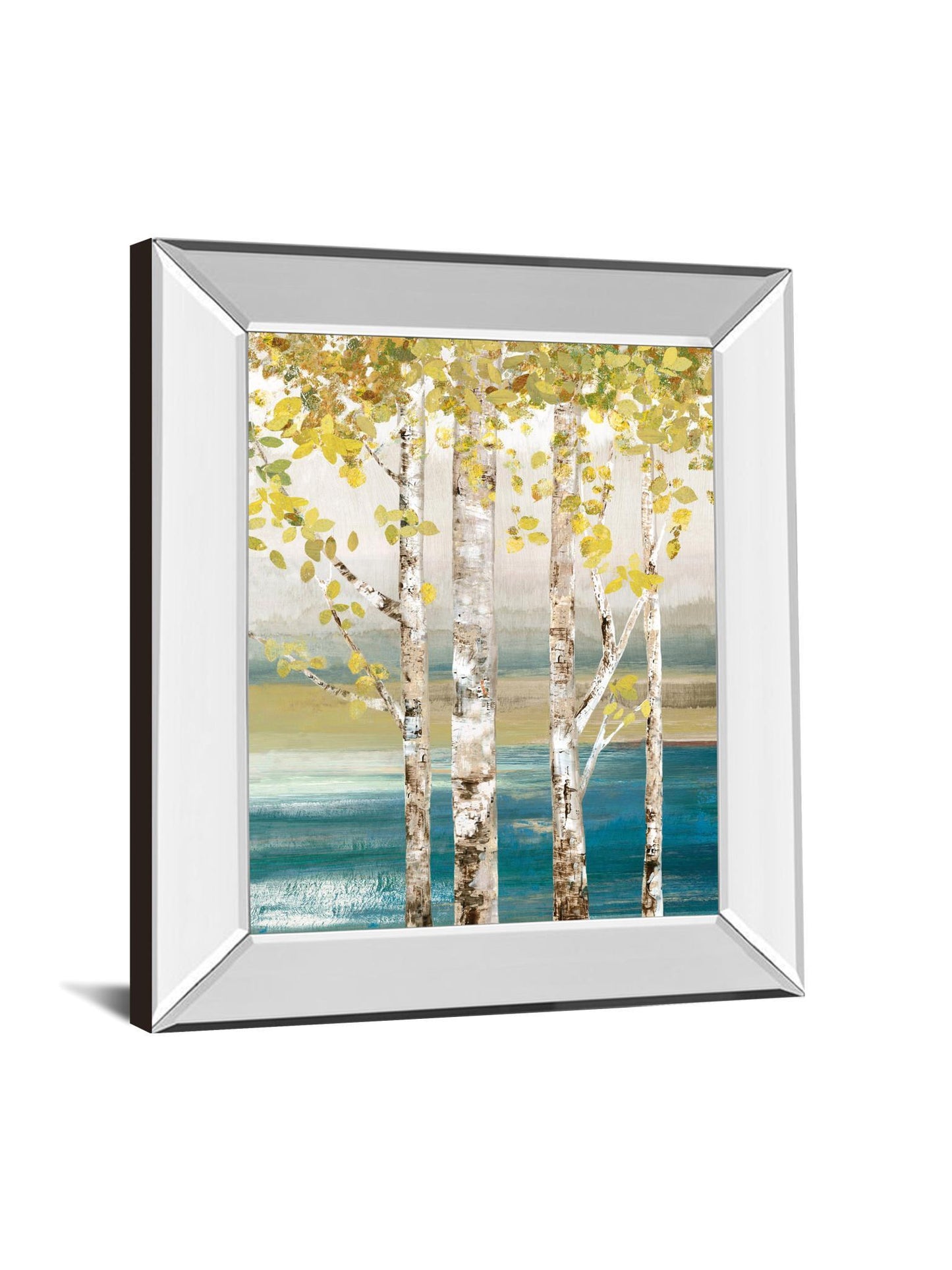 22x26 Down By The River By Allison Pearce - Mirror Framed Print Wall Art - White Classy Art