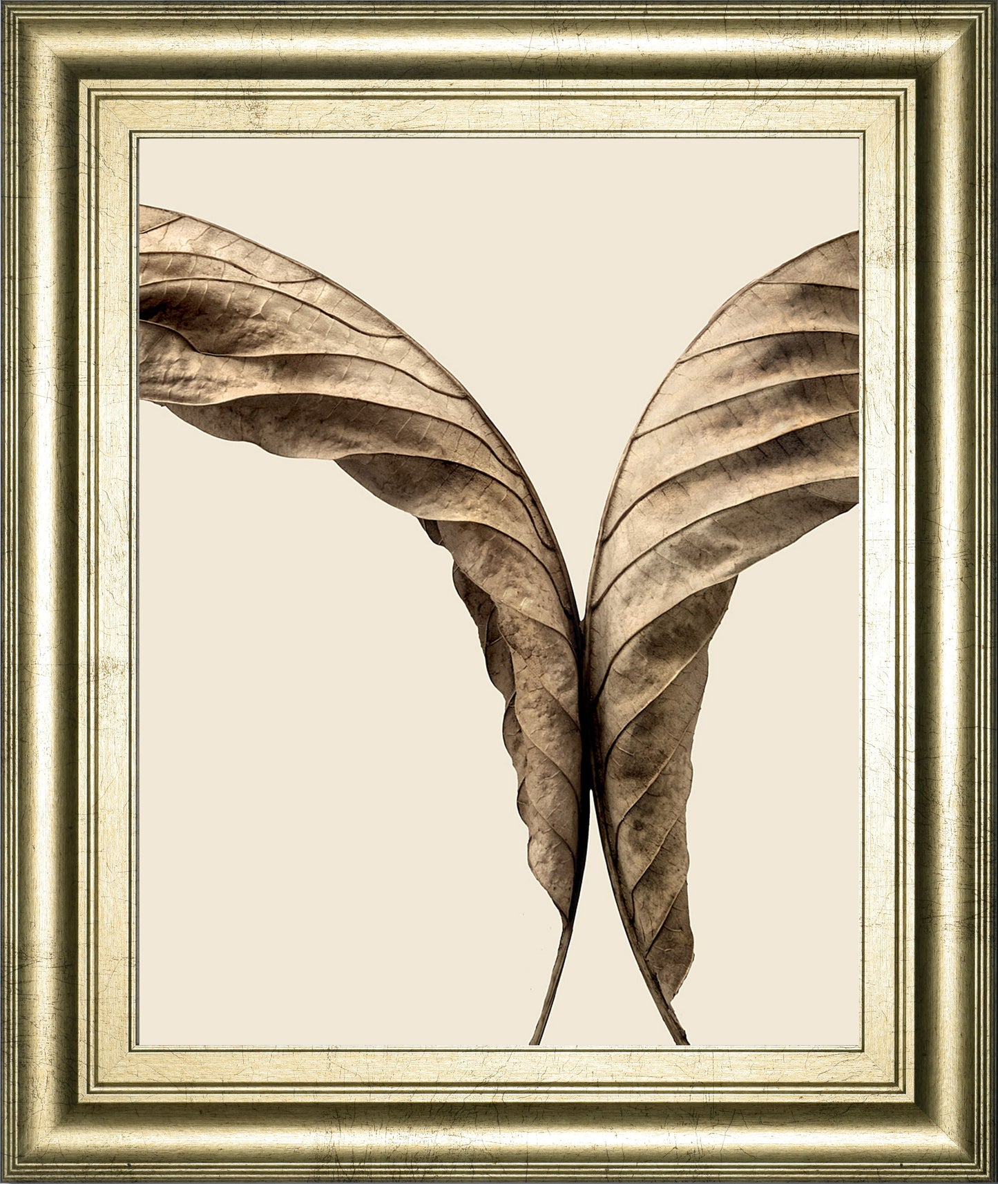 Turning Leaves Il By Jeff Friesen - Framed Print Wall Art - Dark Brown Classy Art