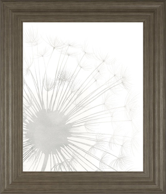 22x26 Dandelion Whisper I By Grace Popp - Pearl Silver Classy Art