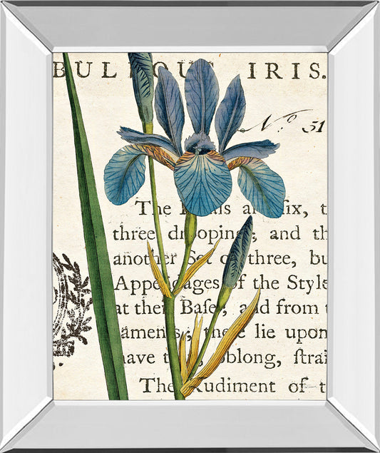 Iris Letter By Sue Schlabach - Mirror Framed Print Wall Art - Blue Classy Art