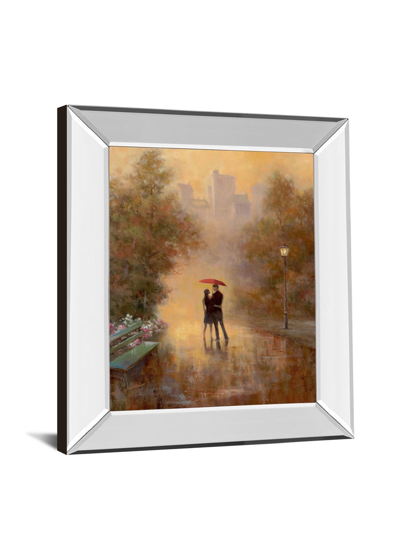 Walk In The Park I By T.C. Chiu - Mirror Framed Print Wall Art - Dark Brown Classy Art