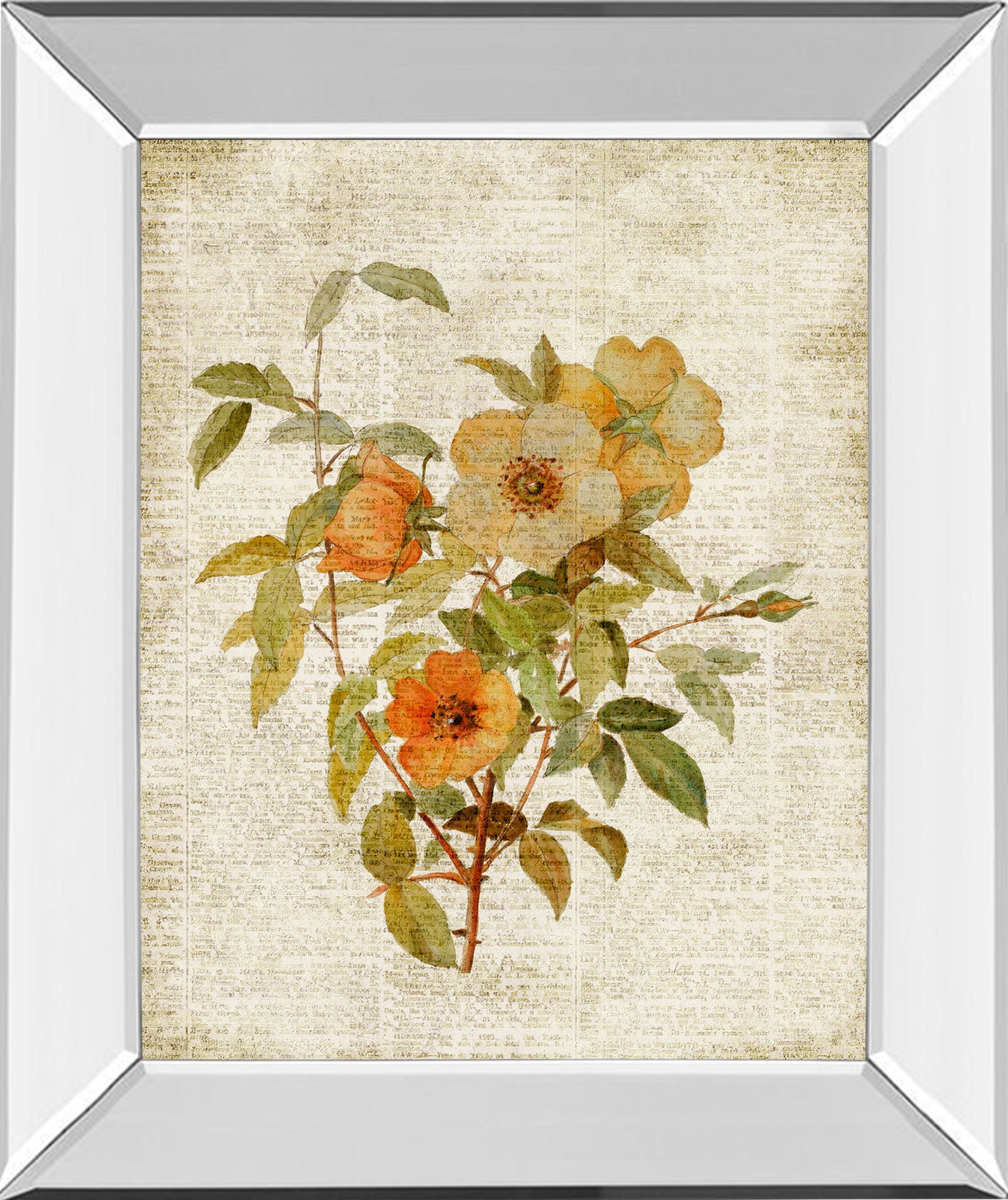 Roses On Newsprint I By Lanie Loreth - Mirror Framed Print Wall Art - Beige Classy Art