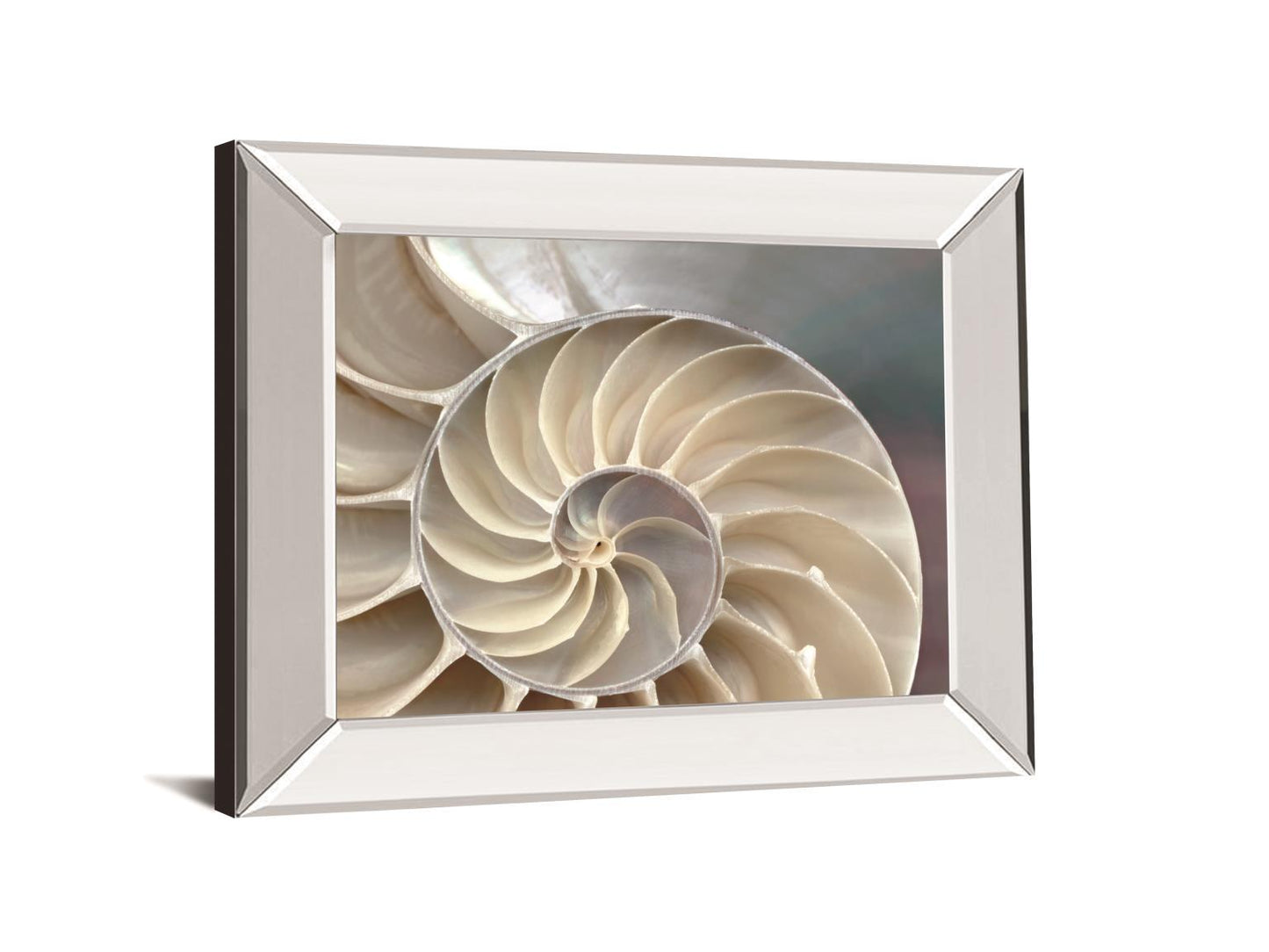 Nautilus By Levine, A. - Mirror Framed Print Wall Art - Beige Classy Art