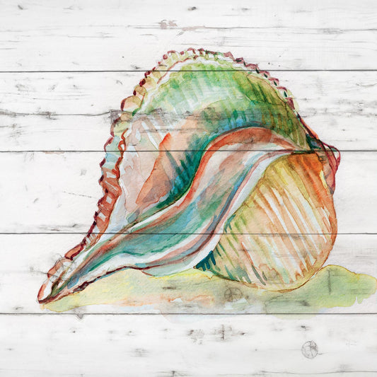 Framed - Tye Dyed Shell II By Carol Robinson - Green Classy Art