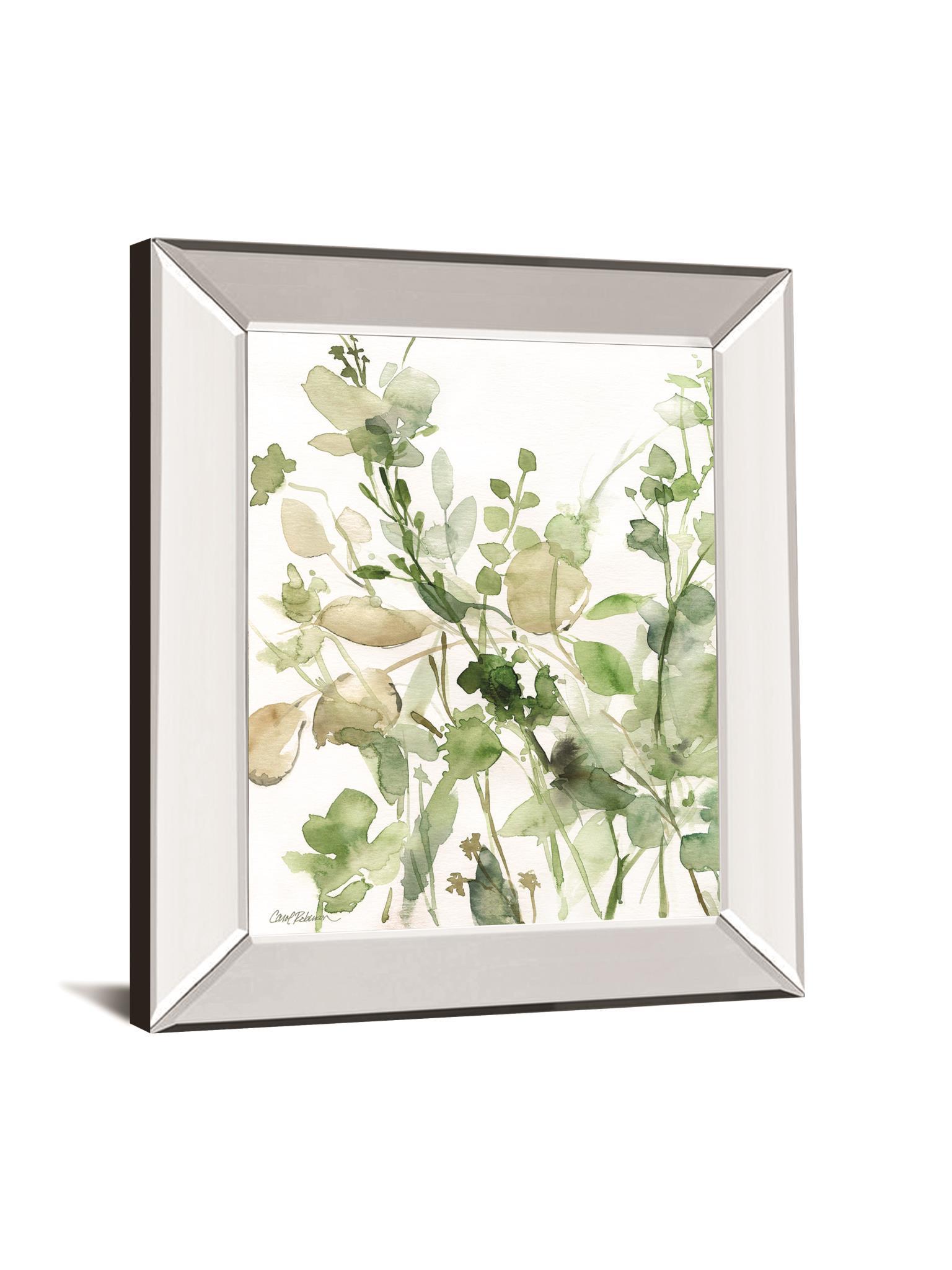 Sage Garden II By Carol Robinson - Mirror Framed Print Wall Art - Green Classy Art