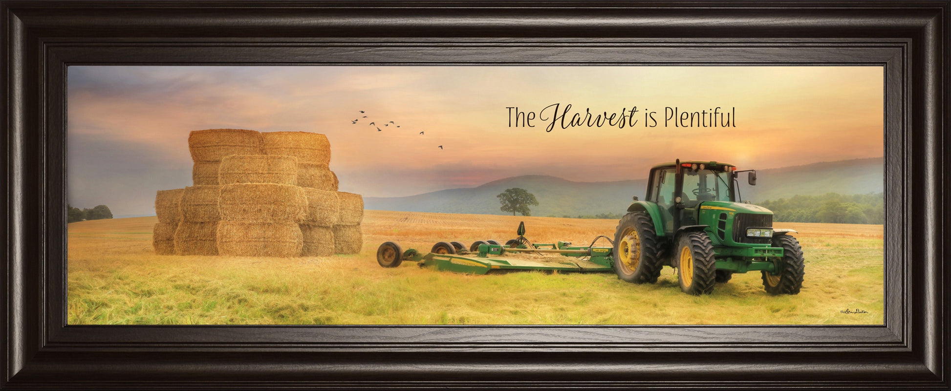 The Harvest Is Plentiful By Lori Deiter - Framed Print Wall Art - Gold Classy Art