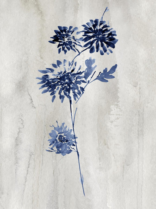 Framed - Indigo Botanical Iv By Conrad Knutsen - Blue Classy Art