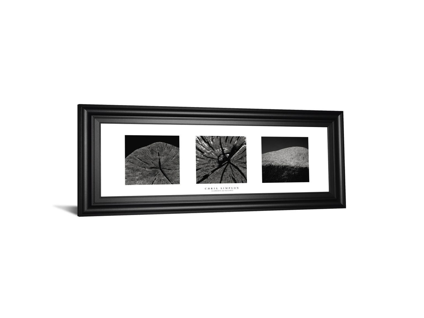 Elements Of Nature 2 By Chris Simpson - Framed Print Wall Art - Black Classy Art