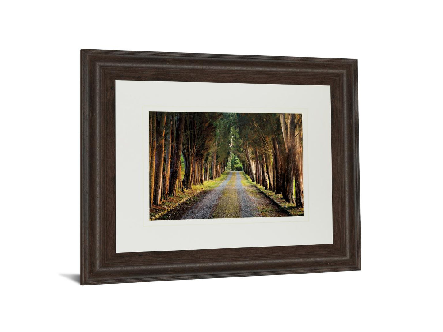 Tree Tunnel By Michael Tunnel And Mossy Oak Native Living - Framed Print Wall Art - Green Classy Art