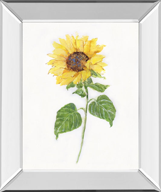 Sunflower II By Sally Swatland - Yellow Classy Art