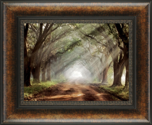 Evergreen Planation By Mike Jones - Framed Print Wall Art - Green Classy Art