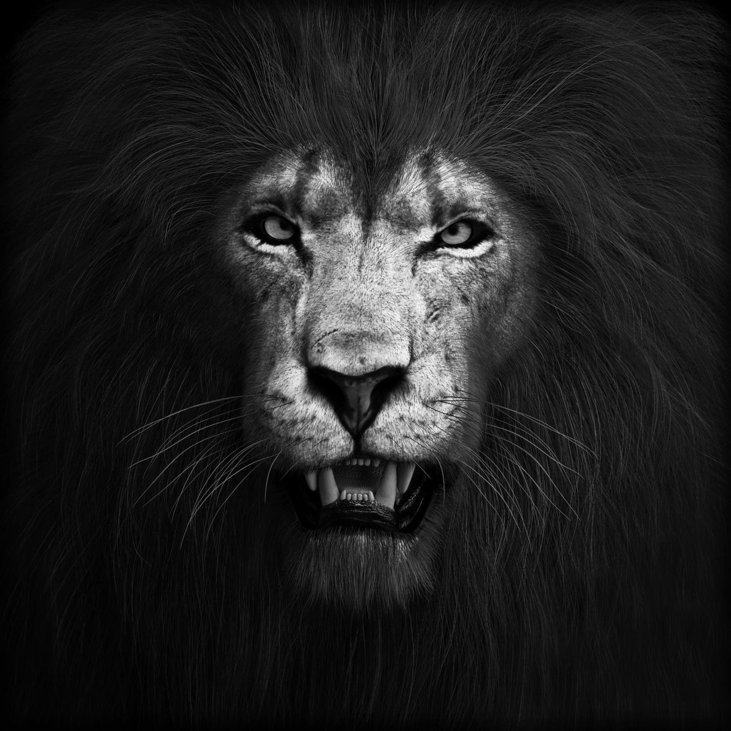 Tempered Glass With Foil - Lion B & W - Black Classy Art