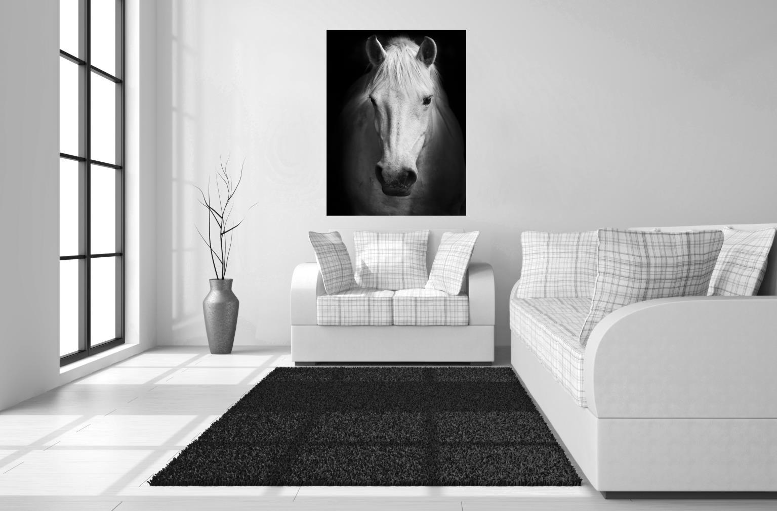 Temp Glass With Foil - White Horse - Black Classy Art