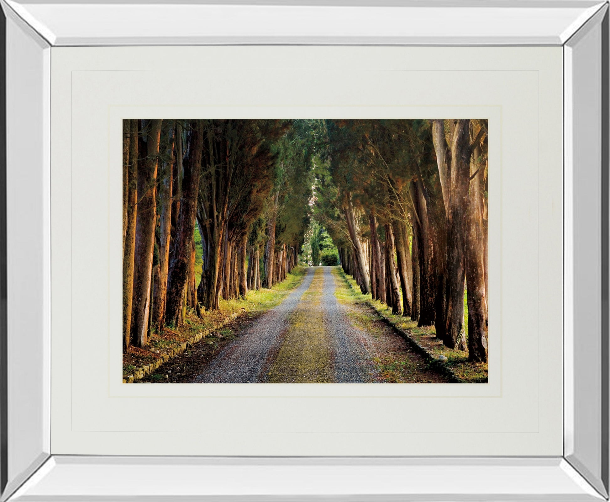 Tree Tunnel By Michael Tunnel And Mossy Oak Native Living - Mirror Framed Print Wall Art - Green Classy Art