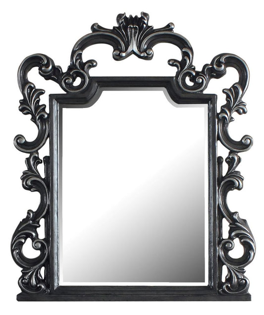 Acme Furniture House Delphine Mirror in Charcoal 28834 ACME East