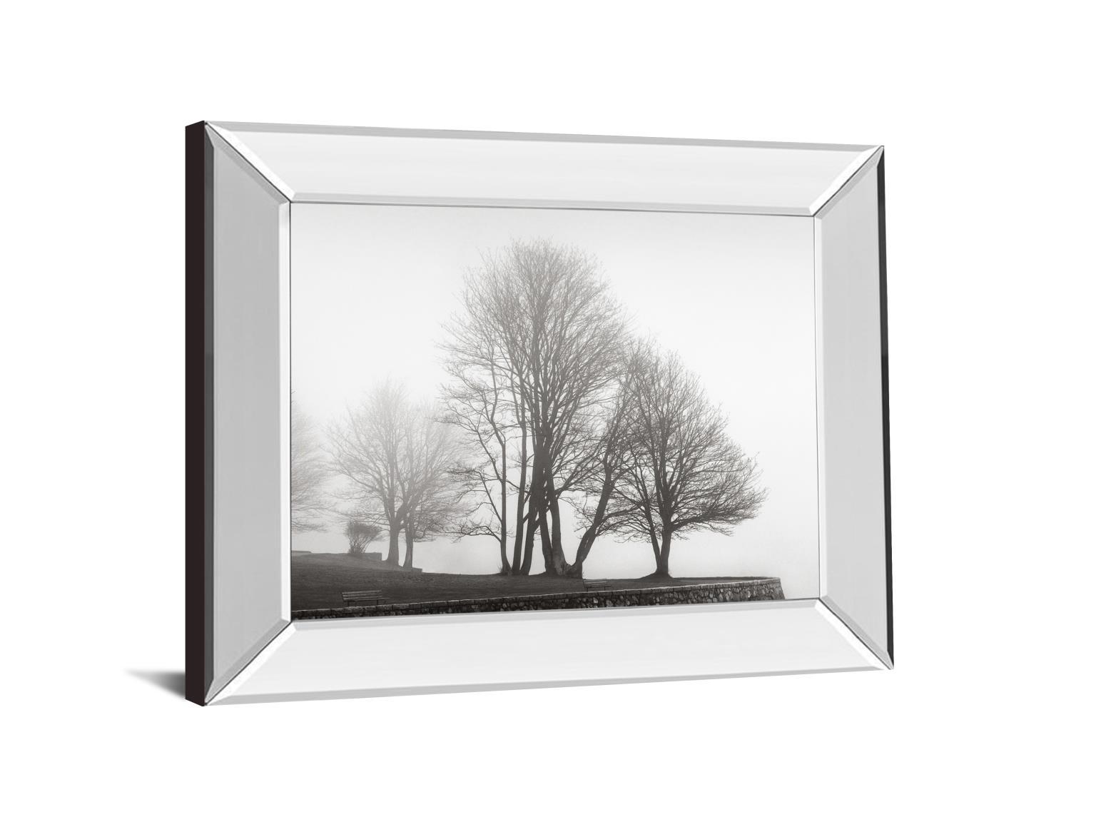 Fog And Trees At Dusk By Lsh - Mirror Framed Print Wall Art - Dark Gray Classy Art