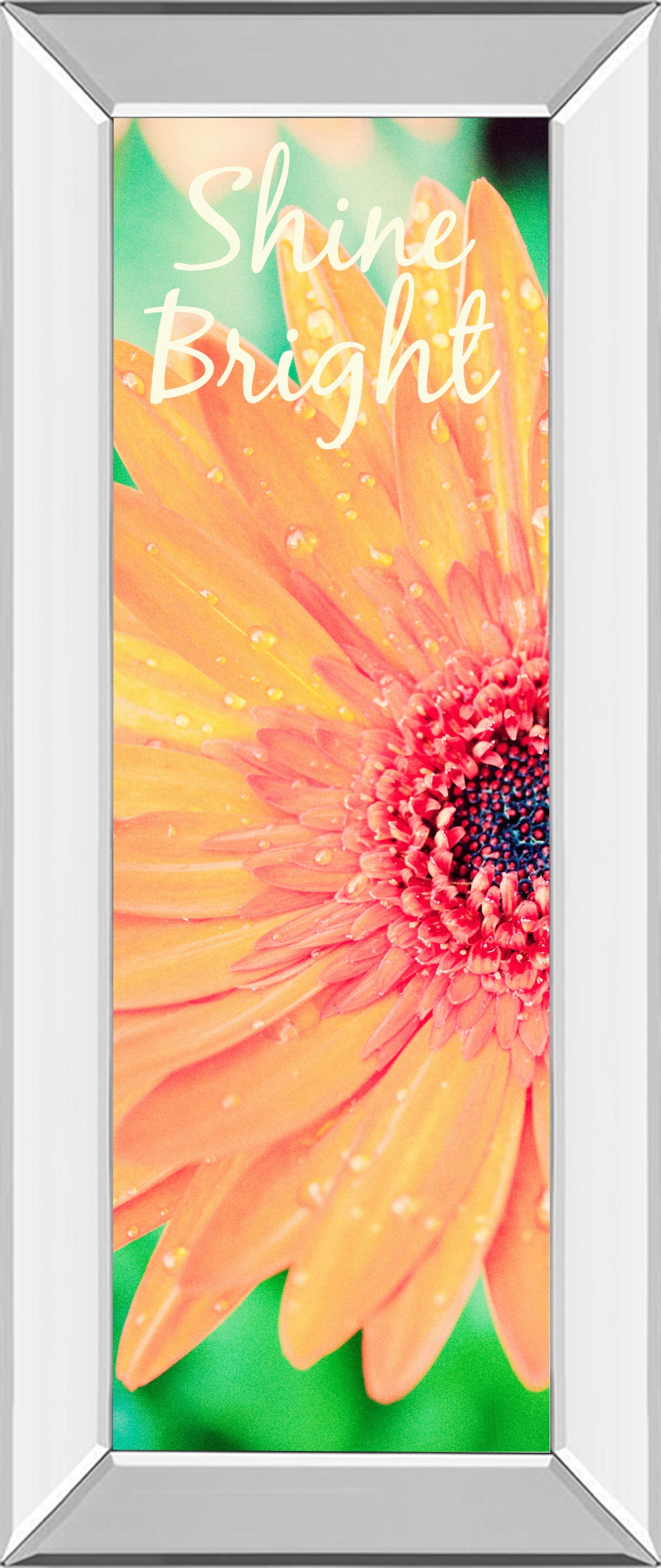 Shine Bright Daisy By Susan Bryant - Mirror Framed Print Wall Art - Orange Classy Art