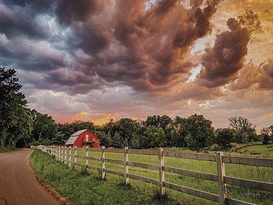 Colorful Country Clouds By Dakota Diener - Dark Green Classy Art