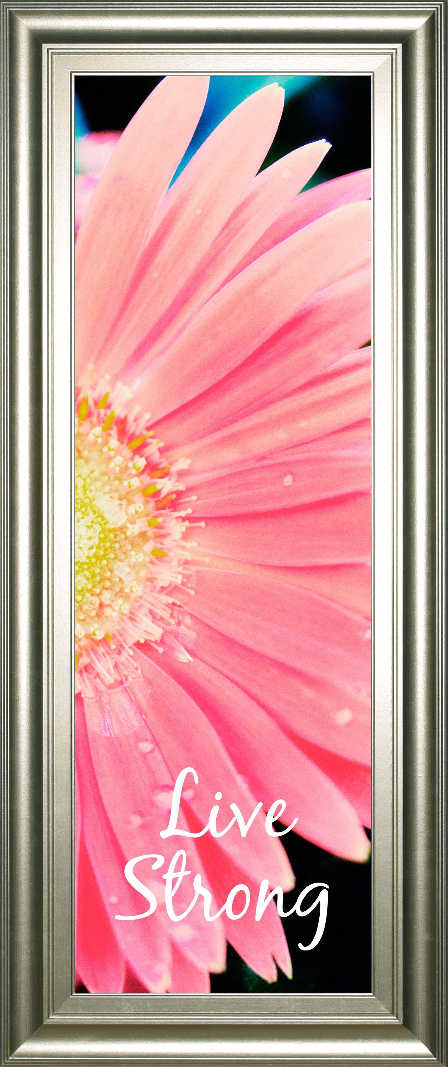 Live Strong Daisy By Susan Bryant - Framed Print Wall Art - Pink Classy Art