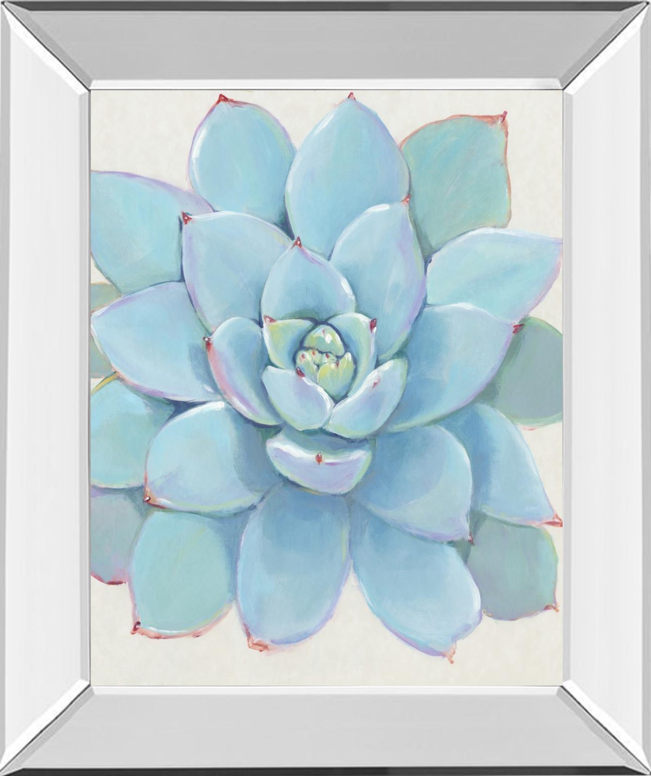 Pastel Succulent I By Tim OToole - Light Blue Classy Art