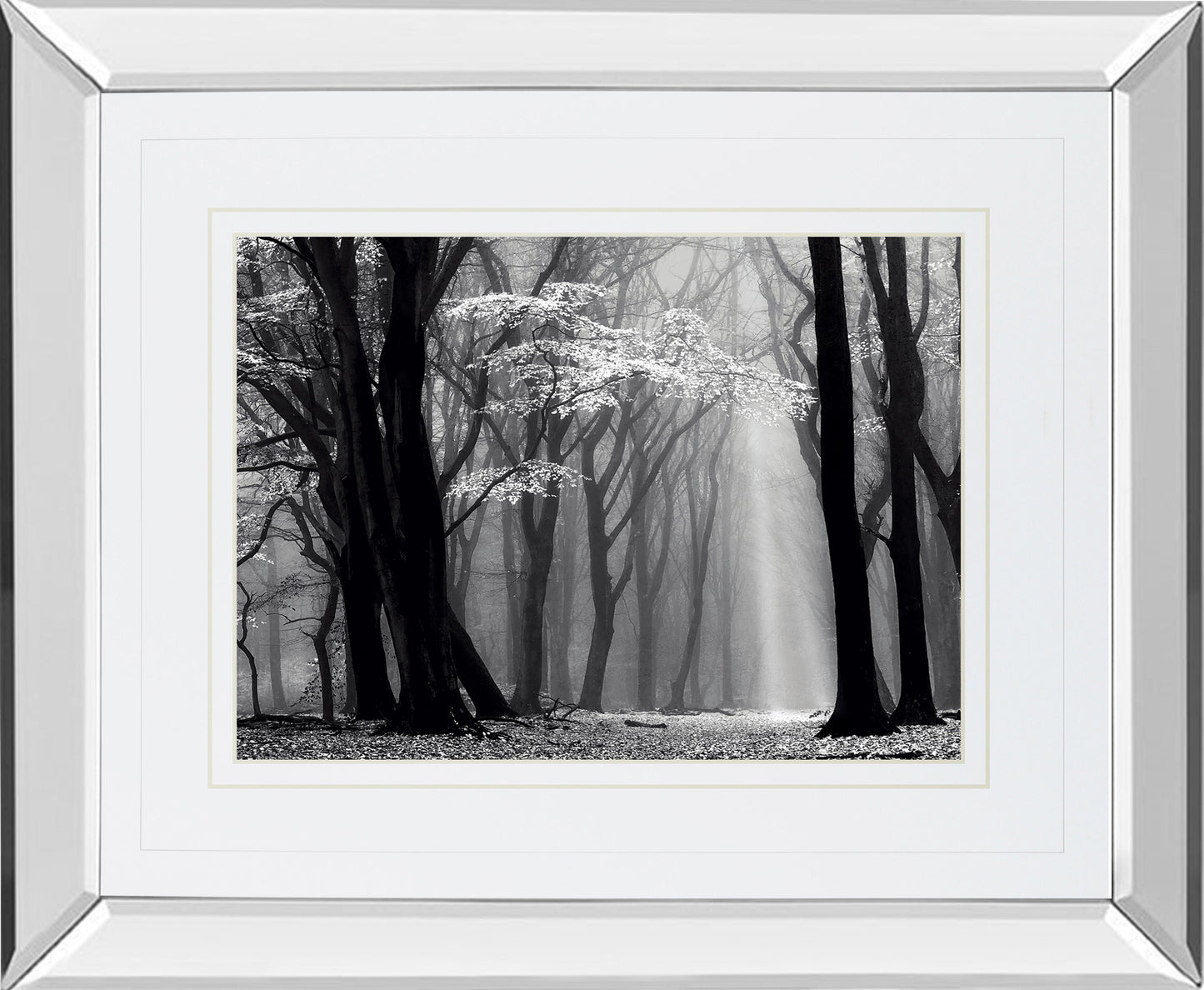 Winter Is Coming By Lars Van De Goor - Mirror Framed Print Wall Art - Black Classy Art