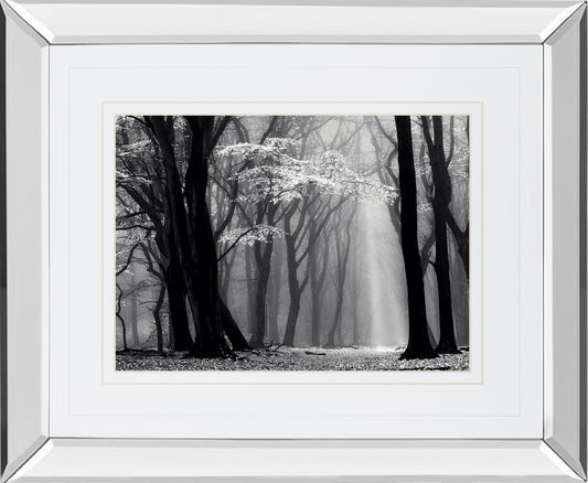 Winter Is Coming By Lars Van De Goor - Mirror Framed Print Wall Art - Black Classy Art