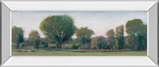 Panoramic Treeline Il By Tim Otoole - Mirror Framed Print Wall Art - Green Classy Art