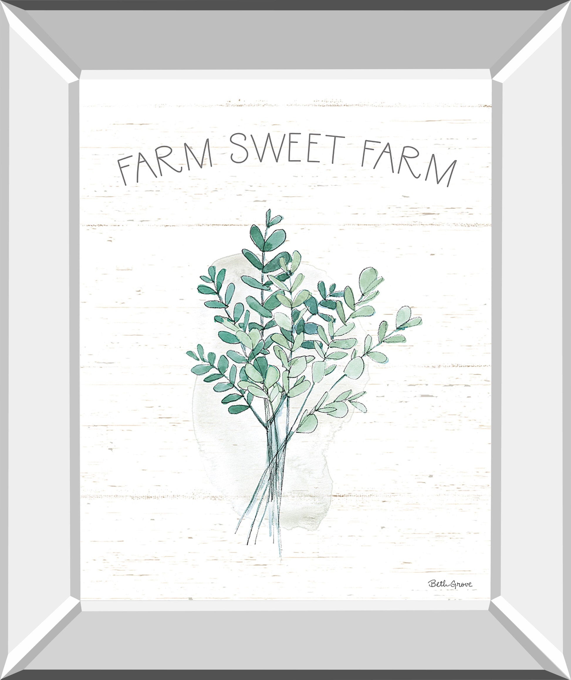 Farmhouse Cotton V By Beth Grove - Mirror Framed Print Wall Art - White Classy Art