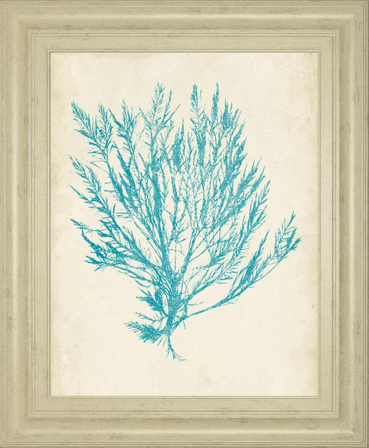 22x26 Aquamarine Seaweed IV By Vision Studio - Light Blue Classy Art