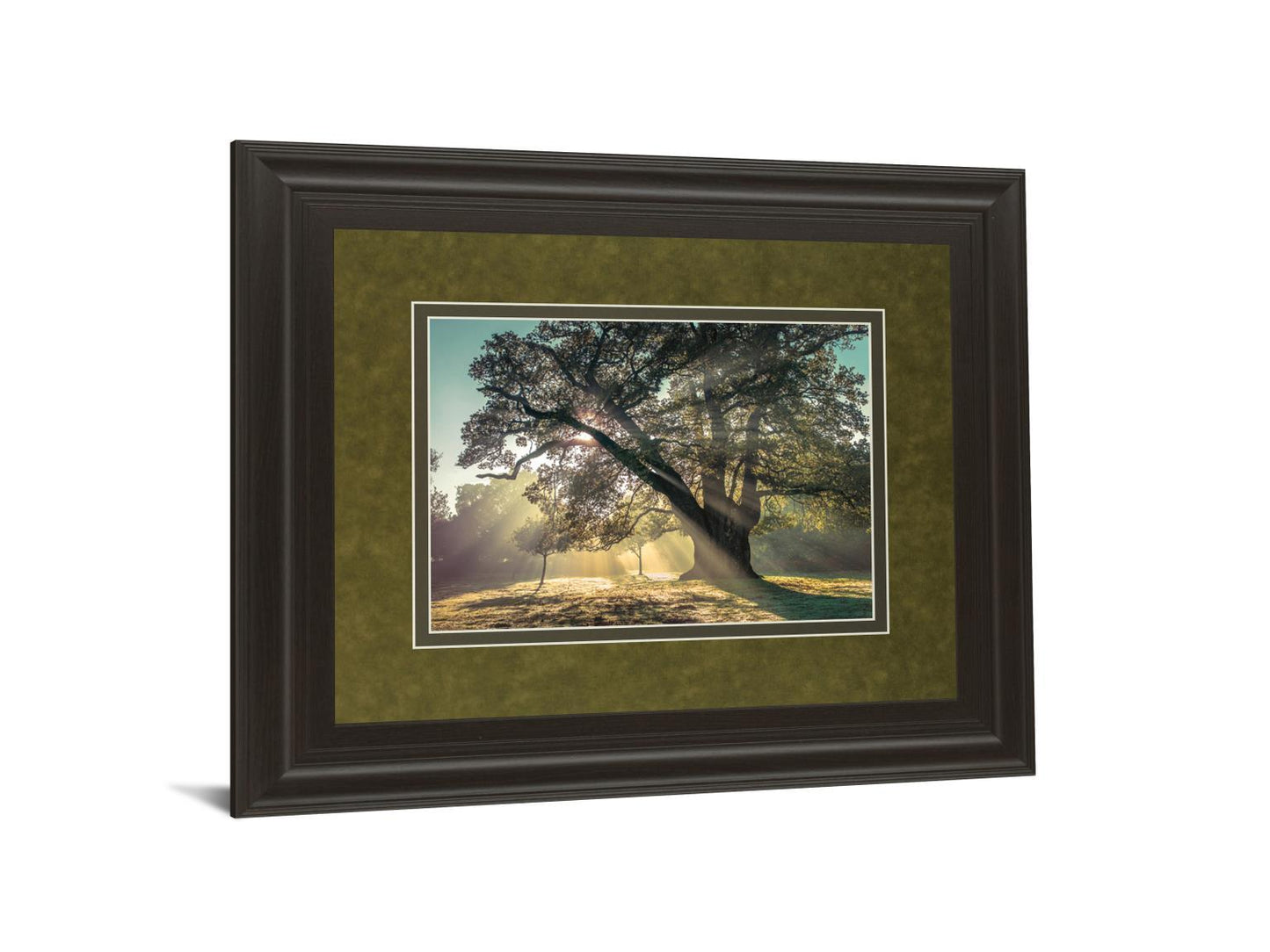 Breaking Through By A. Frank - Framed Print Wall Art - Green Classy Art